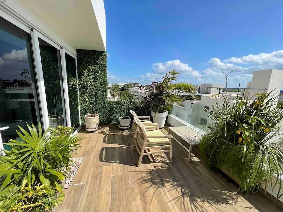 Best Penthouse On 5Av! Private Pool! Rooftop With Ocean View Playa del Carmen 0*,  Mexico